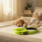 LED Light-up Pet Safety Leash