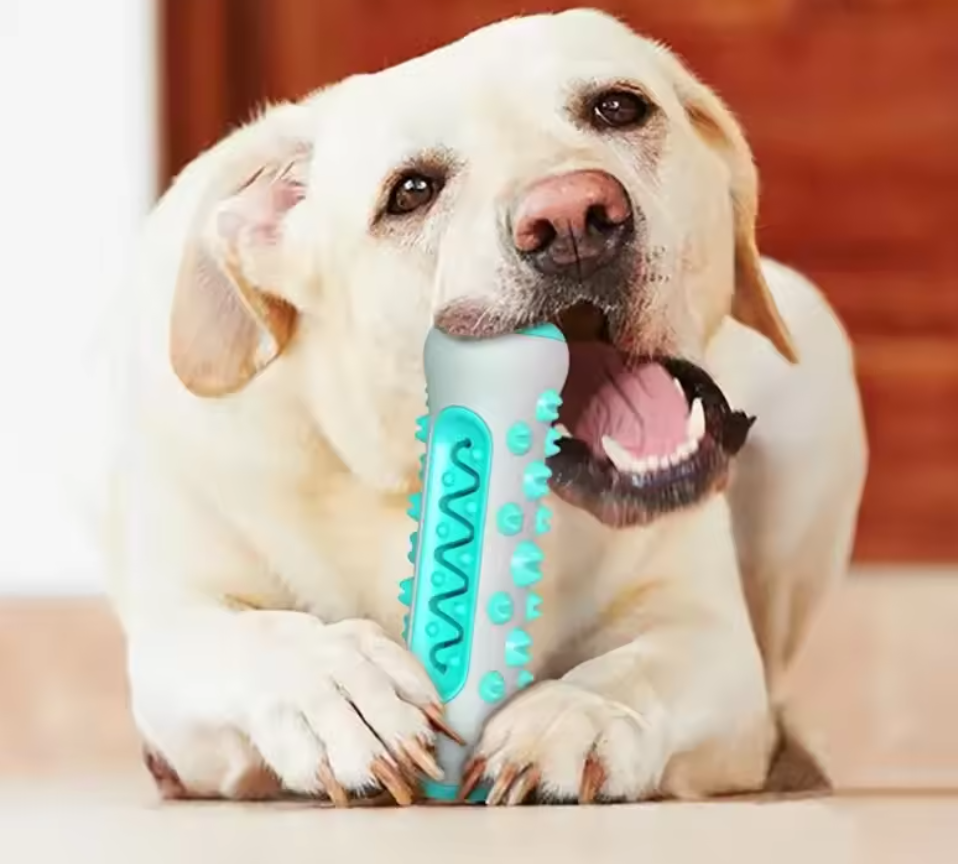 Pet Toothbrush & Chew Toy Hybrid