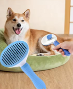 Travel Friendly Pet Grooming Kit