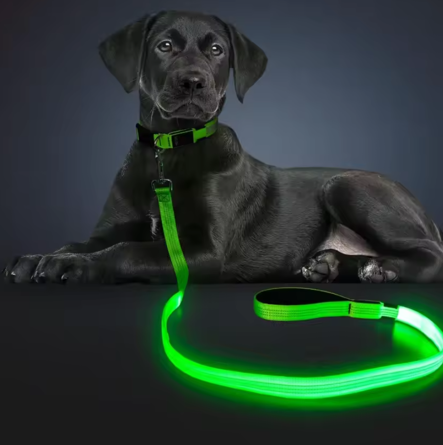LED Light-up Pet Safety Leash