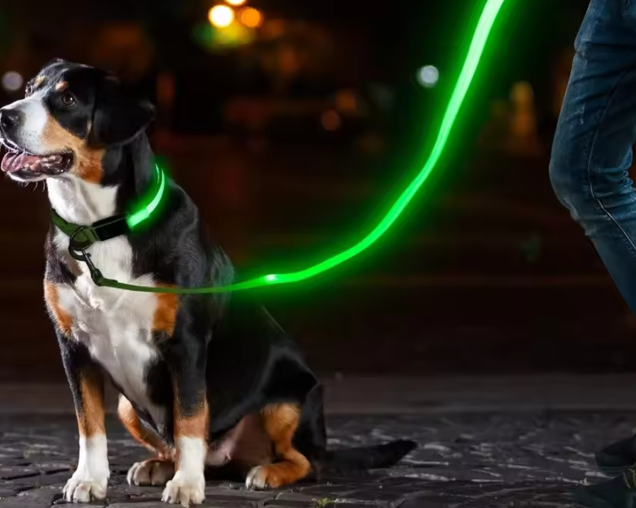 LED Light-up Pet Safety Leash