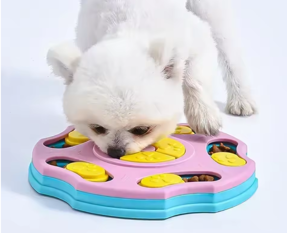 Puzzle Feeder for Pets